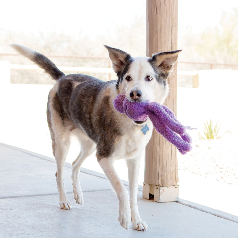 KONG Snugga Wubba Dog Toy - Assorted Colors