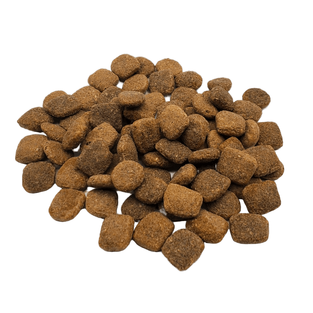 RAWZ Meal-Free Salmon, Dehydrated Chicken & Whitefish Dog Food Recipe