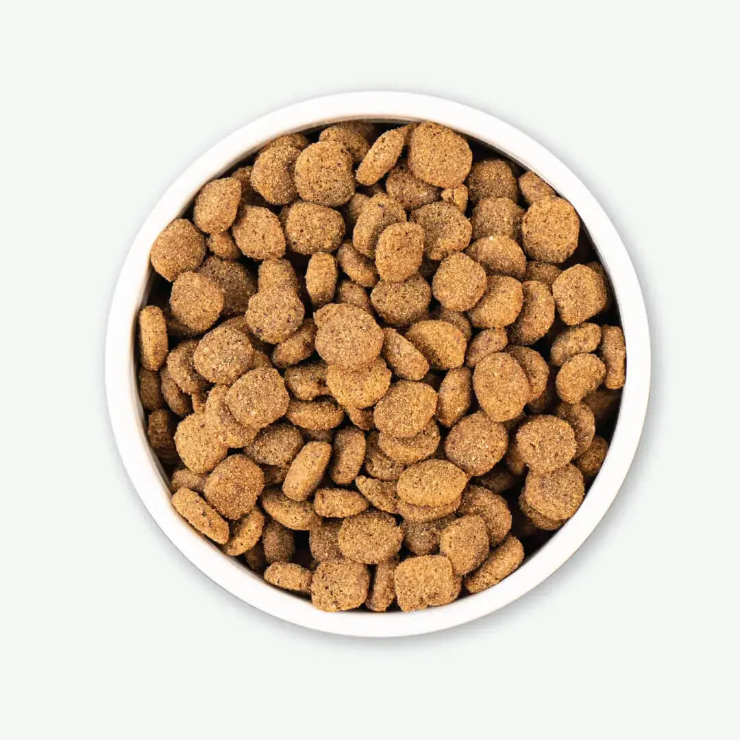 Earthborn Holistic Unrefined Roasted Lamb