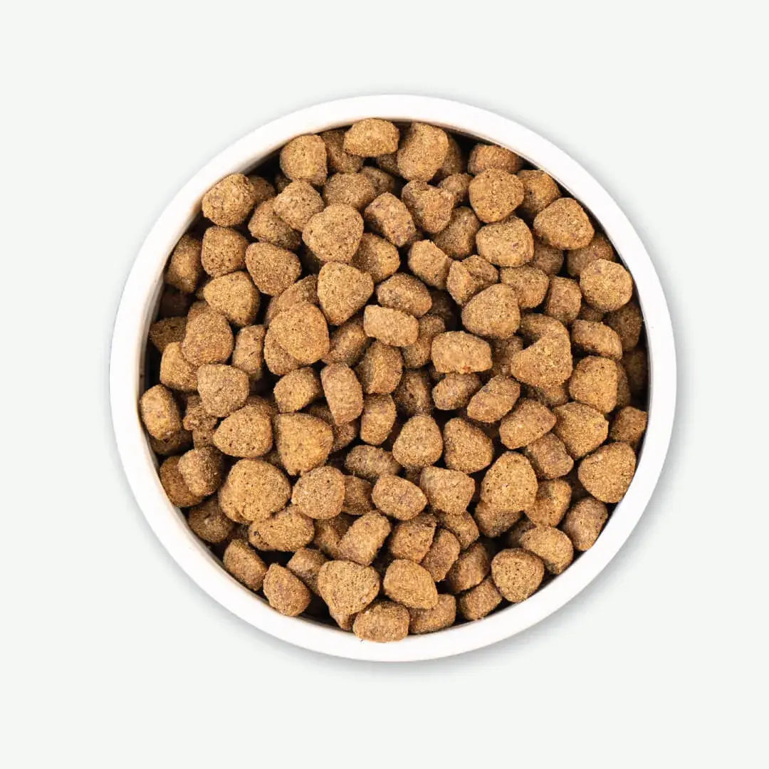 Earthborn Holistic Unrefined Roasted Rabbit