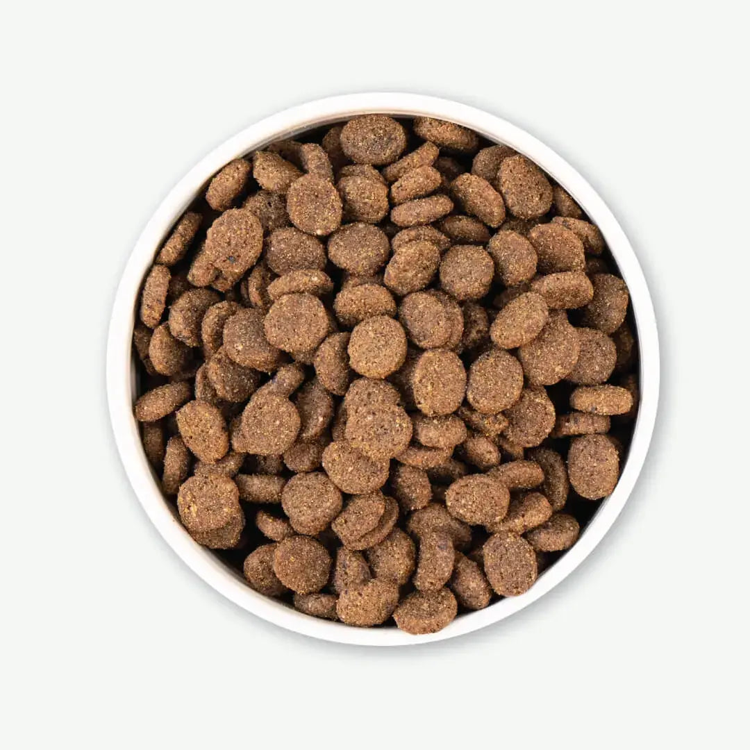 Earthborn Holistic Unrefined Smoked Salmon