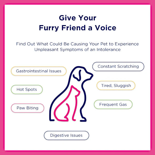 UCARI Pet Intolerance Test Kit