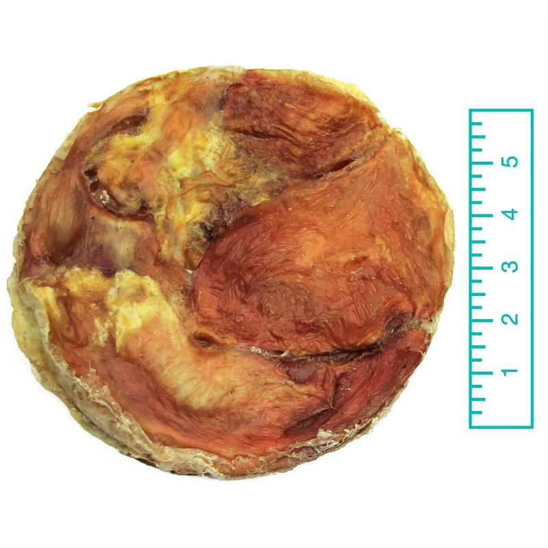 TUESDAYS NATURAL DOG COMPANY TREMENDA DISC