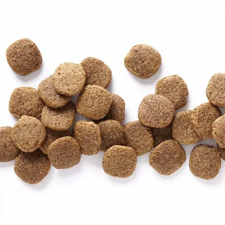 WHOLESOMES LARGE BREED CHICKEN AND RICE 40LB