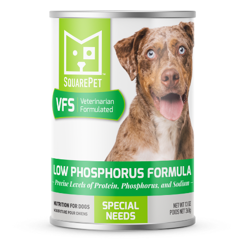 SquarePet VFS® LOW PHOSPHORUS FORMULA 13OZ