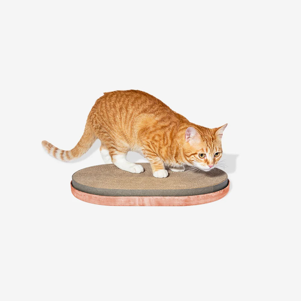 Zee Dog Cat Scratcher