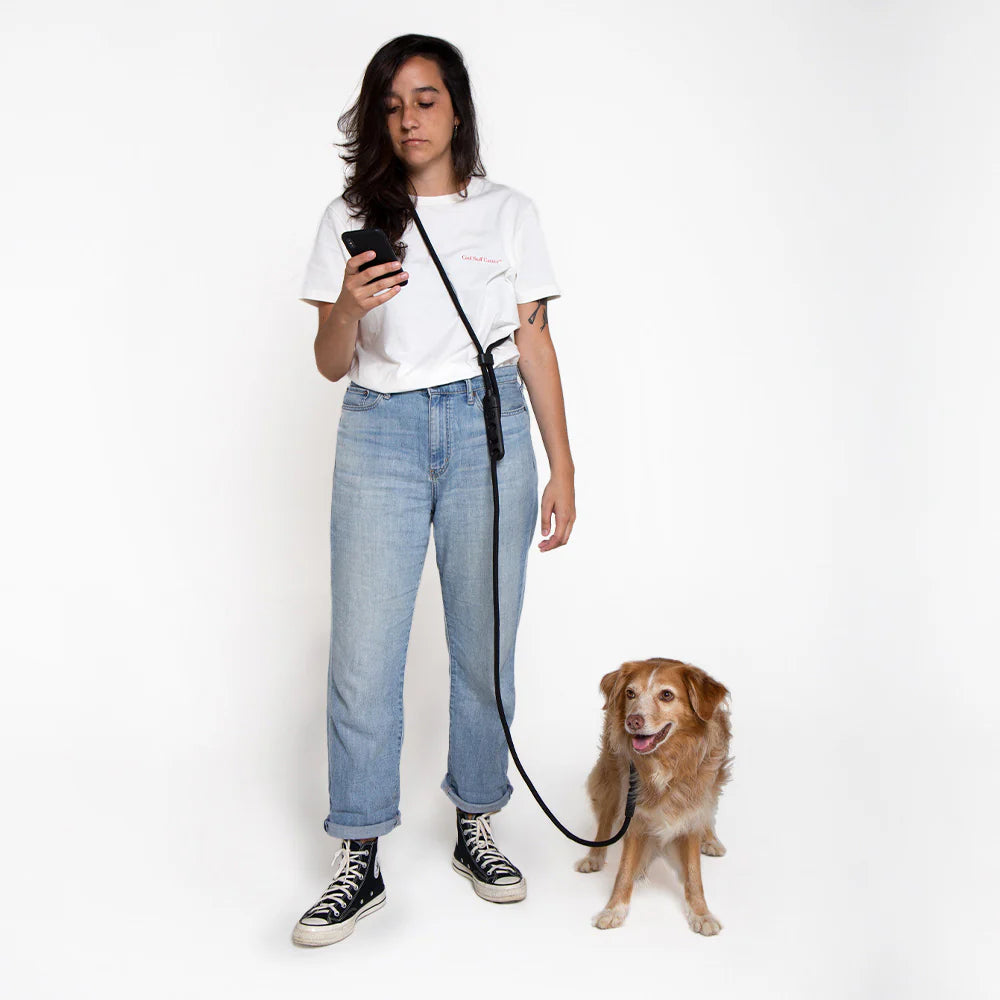 Zee Dog Hands-Free Leash