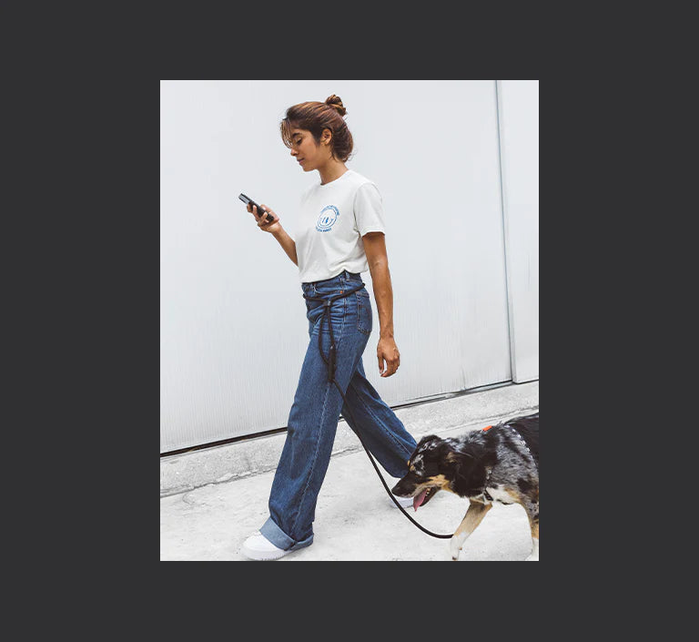 Zee Dog Hands-Free Leash