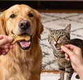 How Many Treats Can Your Dog or Cat Have Each Day?