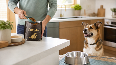 Salmonella in Dog Food: Risks, Symptoms and Safe Handling