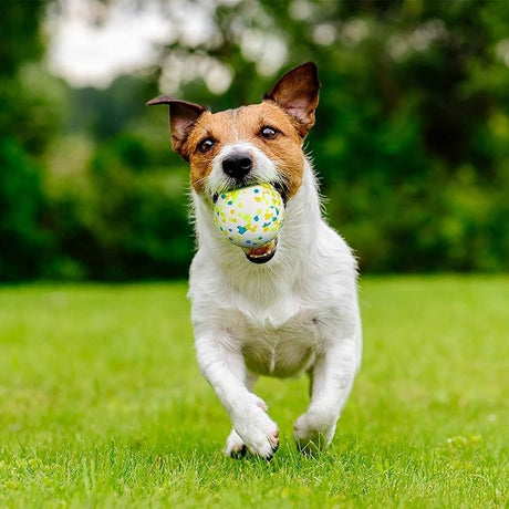 FETCH TOYS