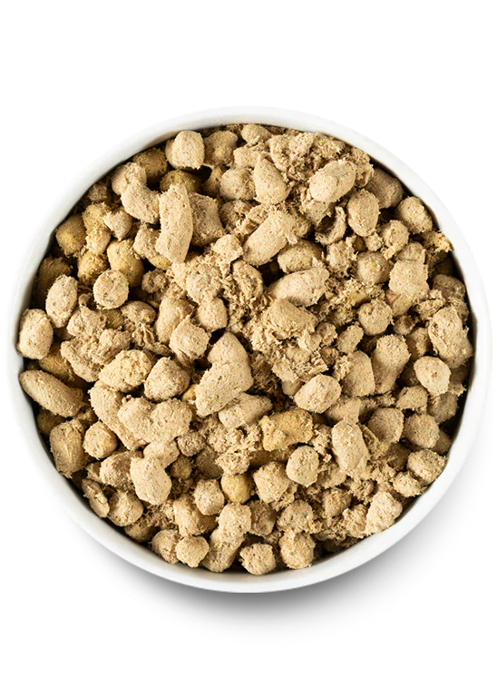 FREEZE-DRIED