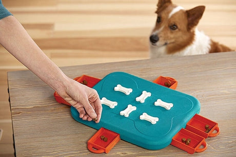 INTERACTIVE DOG TOYS