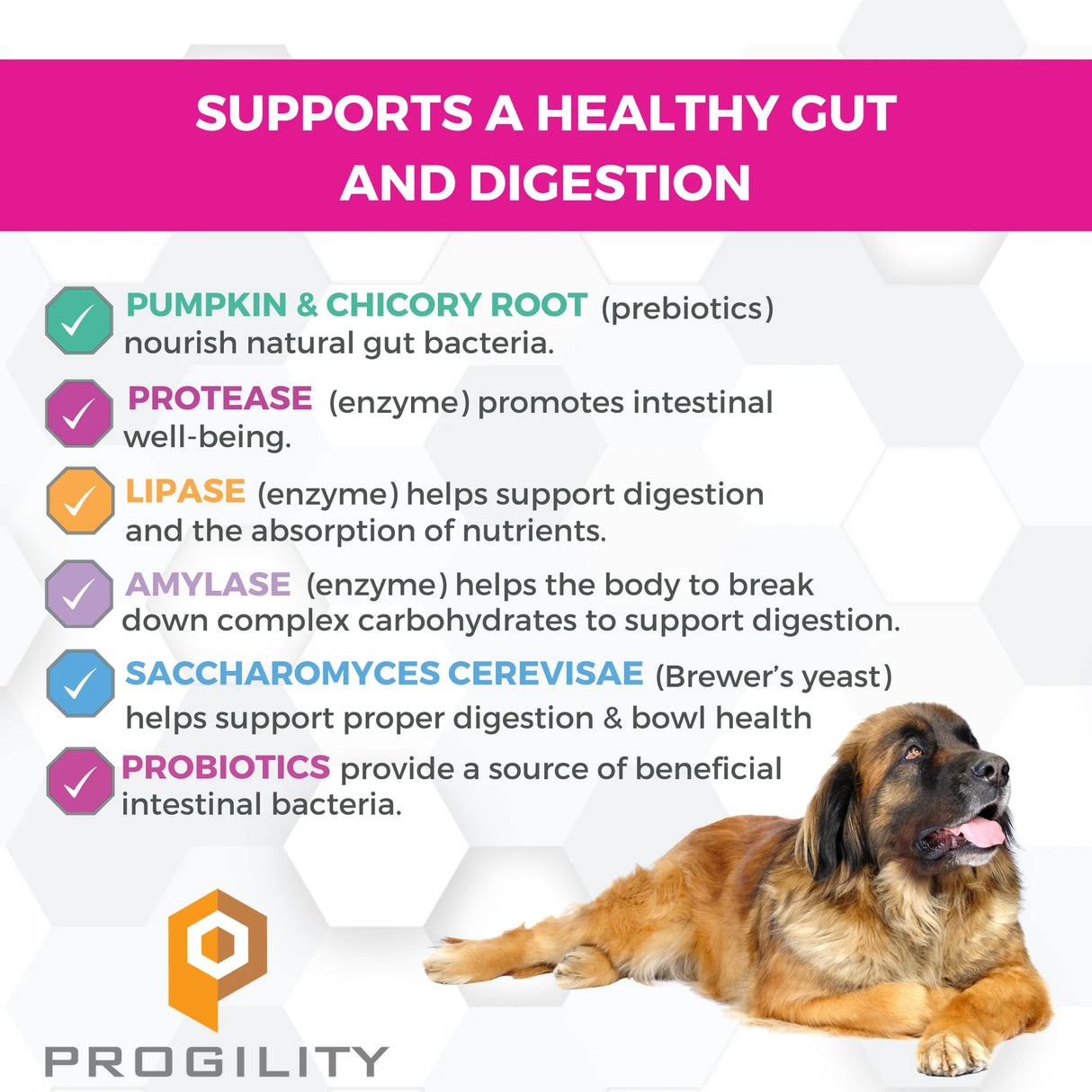 Nootie Progility Pre & Probiotics Soft Chews