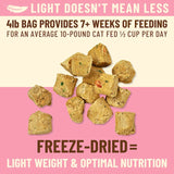 Primal Kibble in the Raw Cat Food Beef Recipe