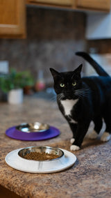 Messy Mutts Single Silicone Cat Bowl with Stainless Steel Saucer Shaped Bowl - Marble