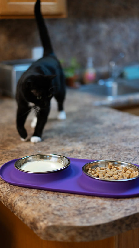 MESSY CATS DOUBLE SILICONE CAT FEEDER WITH STAINLESS SAUCER SHAPED BOWL -  PURPLE