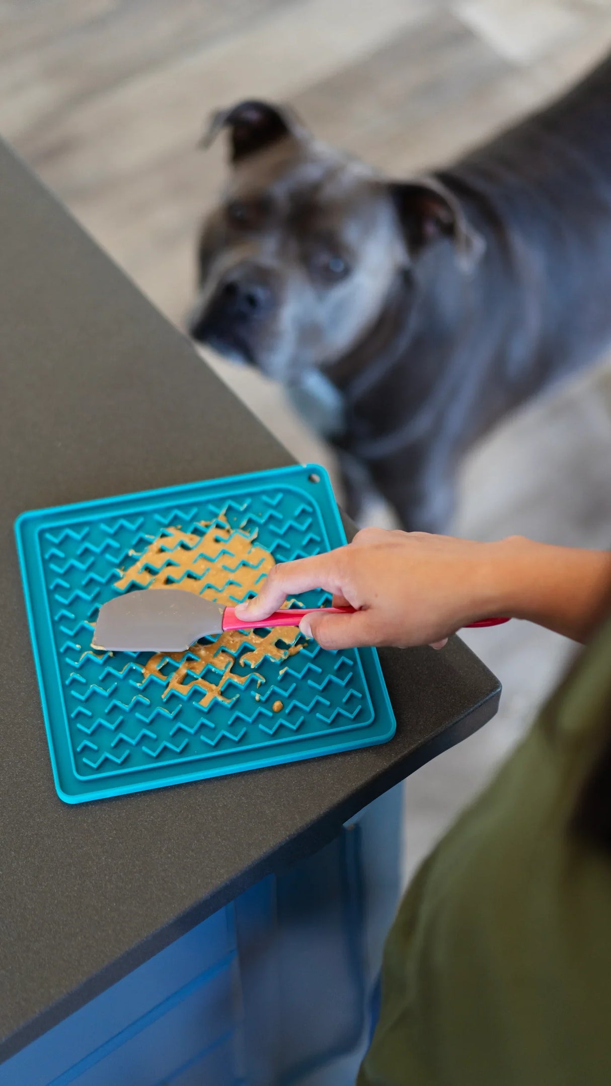 MESSY MUTTS Silicone Lick Mat with Spatula - Gray