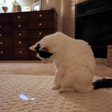 Coastal Turbo Cat LED Pointer