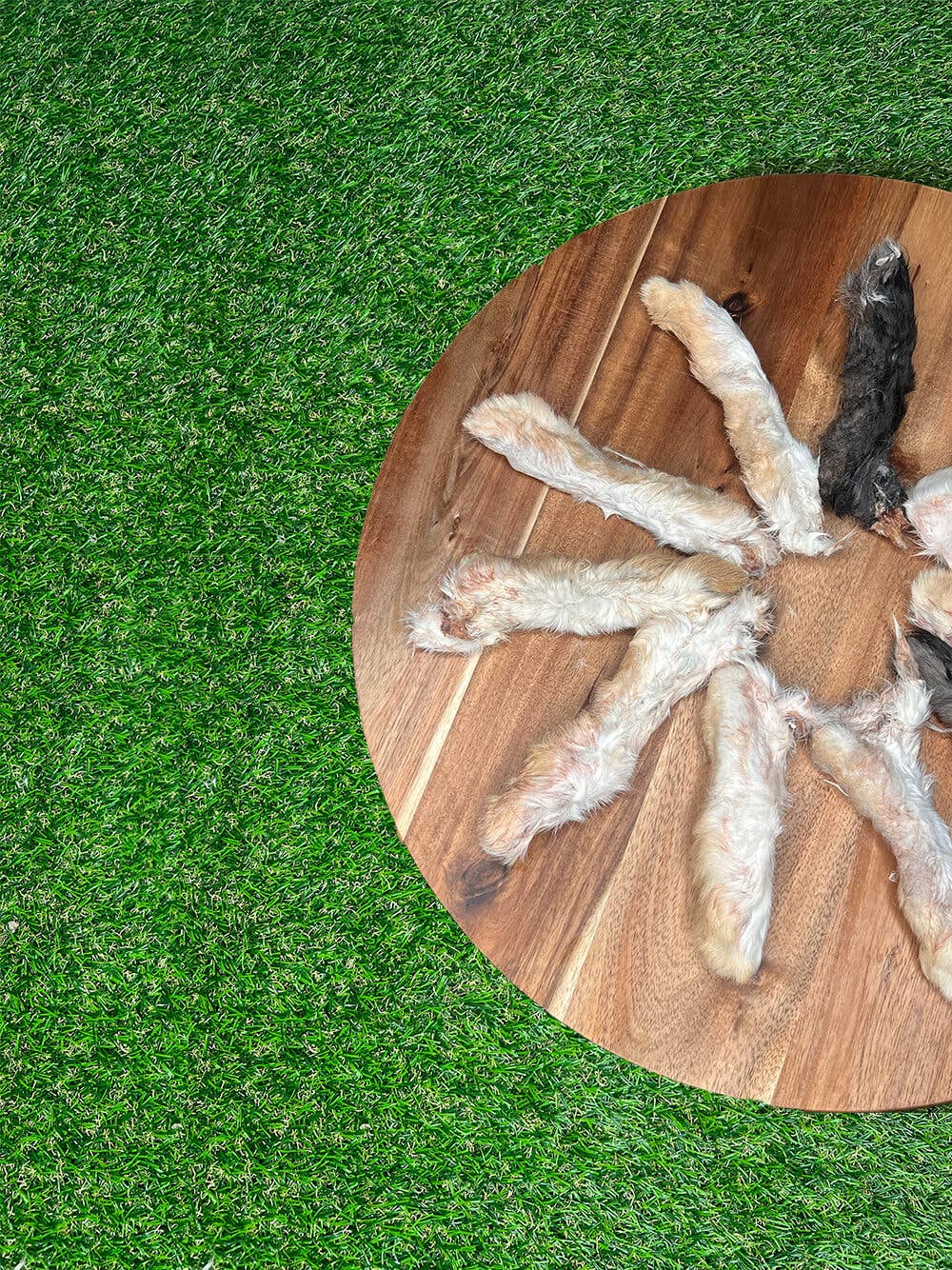 RABBIT FEET LARGE