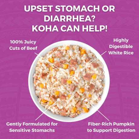 KOHA BLAND DIET BEEF & WHITE RICE