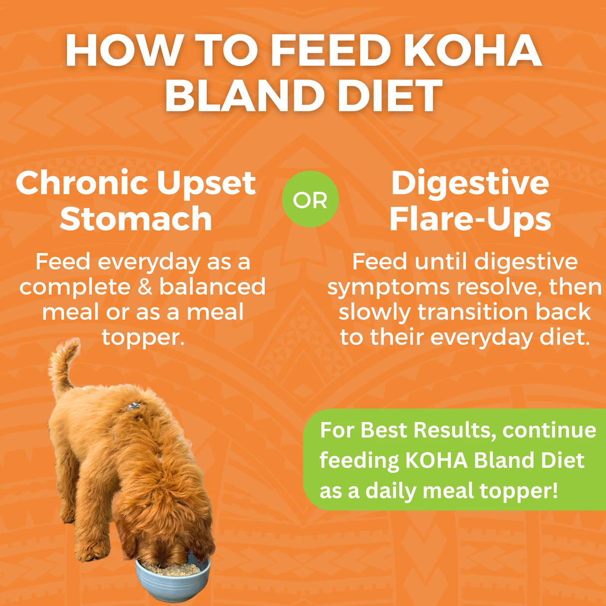 KOHA BLAND DIET CHICKEN & WHITE RICE