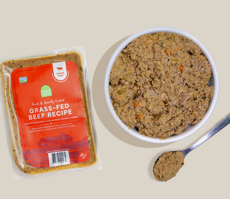 OPEN FARM Grass-Fed Beef Grain-Free Freshly Crafted Dog Food 16OZ