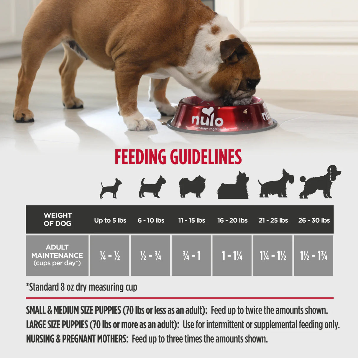 Nulo FreeStyle Small Breed Beef & Sweet Potato Recipe Dry Dog Food