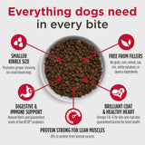 Nulo FreeStyle Small Breed Beef & Sweet Potato Recipe Dry Dog Food