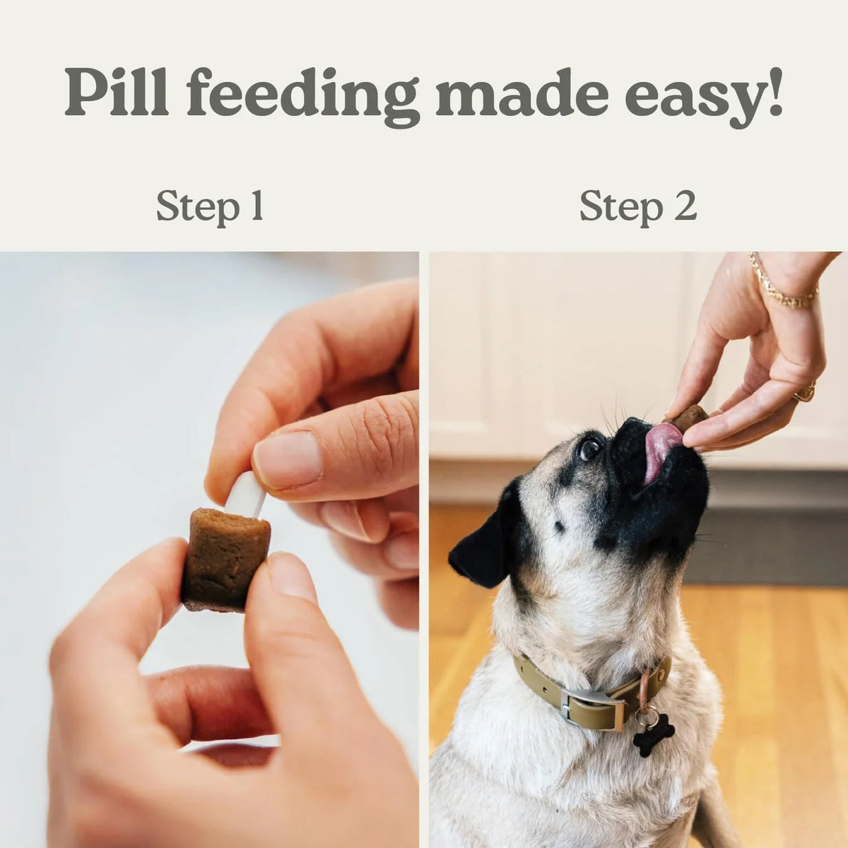 Hand feeding brown pill-hiding dog treats to a sitting dog