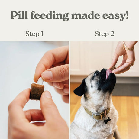 Earthly Pill Buddy Naturals Pill Hiding Dog Treats - Peanut Butter and Banana