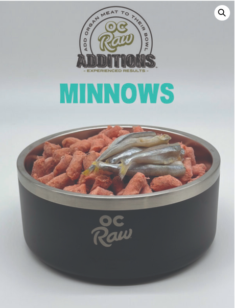 OC RAW FROZEN ADDITIONS MINNOWS 2LB