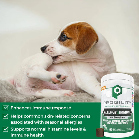 Soft chew bottle beside resting puppy, white bottle with green allergy & immune label