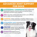 Nootie Progility Hip & Joint Soft Chew Supplements For Dogs