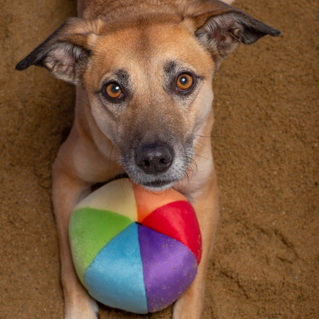FLUFF AND TUFF SMALL BEACH BALL