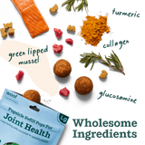 WOOF PUPSICLE POPS JOINT HEALTH