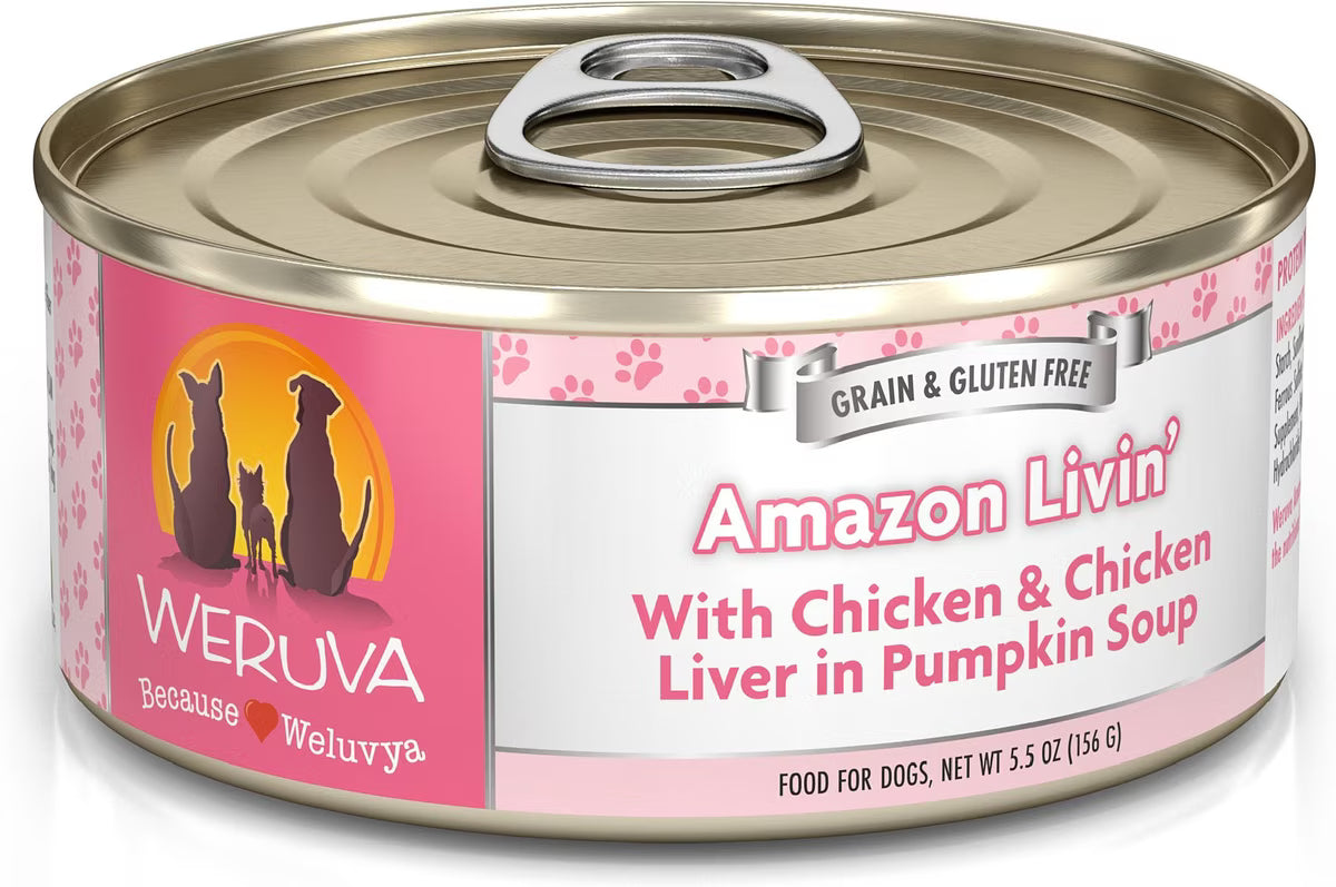 Weruva Amazon Livin' with Chicken & Chicken Liver in Pumpkin Soup Dog Food