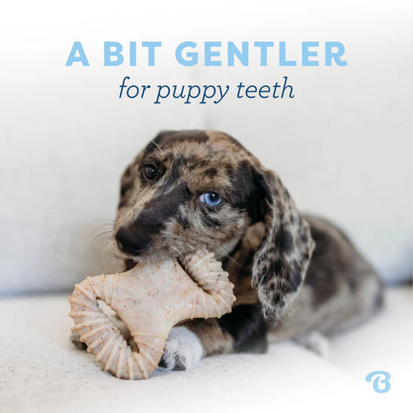 Benebone Bacon Puppty Dental Chew 2-Pack for Dogs