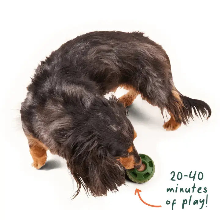 WOOF PUPSICLE POPS PEANUT BUTTER AND BEEF