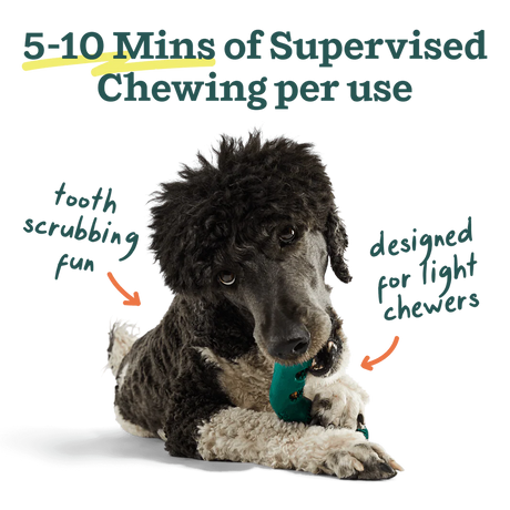 Woof Bite n' Brush Dog Dental Chew Refills