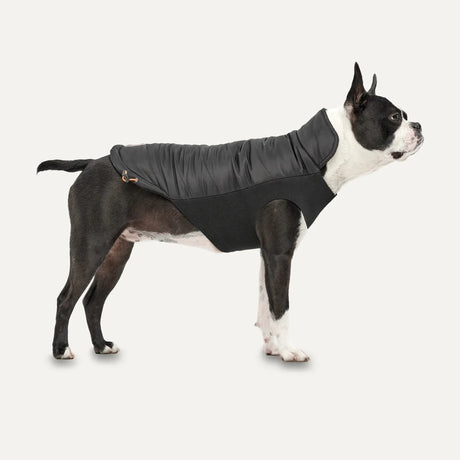 Goo-eez Mock Neck Winter Jacket - Black