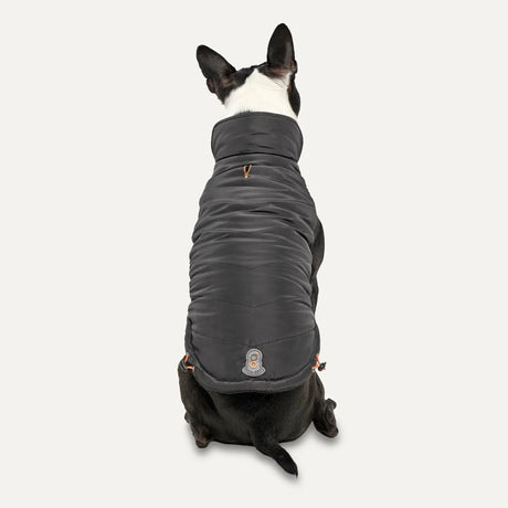 Goo-eez Mock Neck Winter Jacket - Black