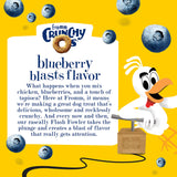 Fromm Crunchy O's Blueberry Blast Dog Treats