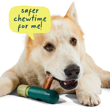 Woof BullySafe Dog Chew Holder
