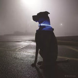 Coastal USB Light-Up Neck Ring