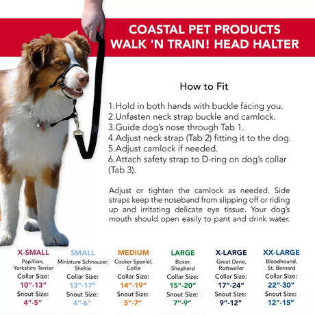 WALK N TRAIN HEAD HALTER DISPLAY BLACK