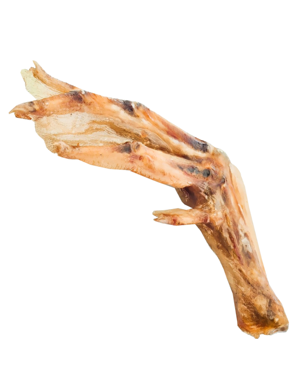 DUCK FEET