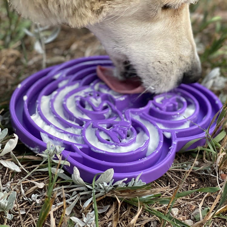 Sodapup Bullfrog Enrichment Tray
