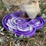 Sodapup Bullfrog Enrichment Tray