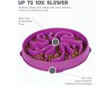 FUN FEEDER DOG BOWLS